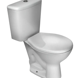 BACIA + CAIXA ACOPLADA ARAXA CINZA CLARO